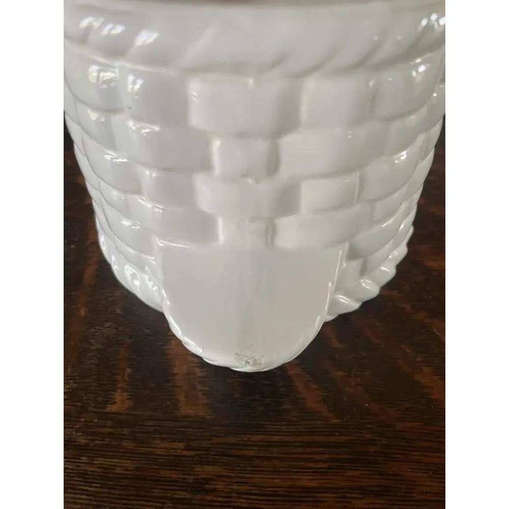 Vintage All White Ceramic Duck Soup Tureen with Lid and Ladle